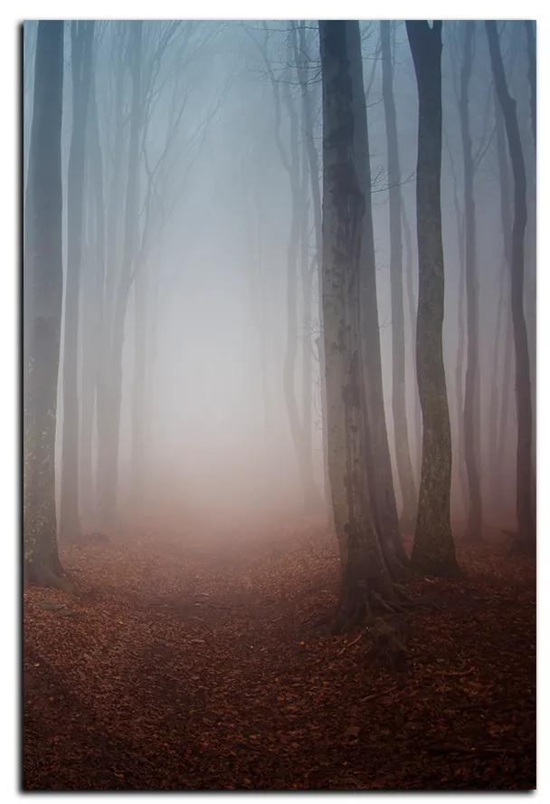 Obraz na plátne - Hmla v lese - obdĺžnik 7182A (60x40 cm)
