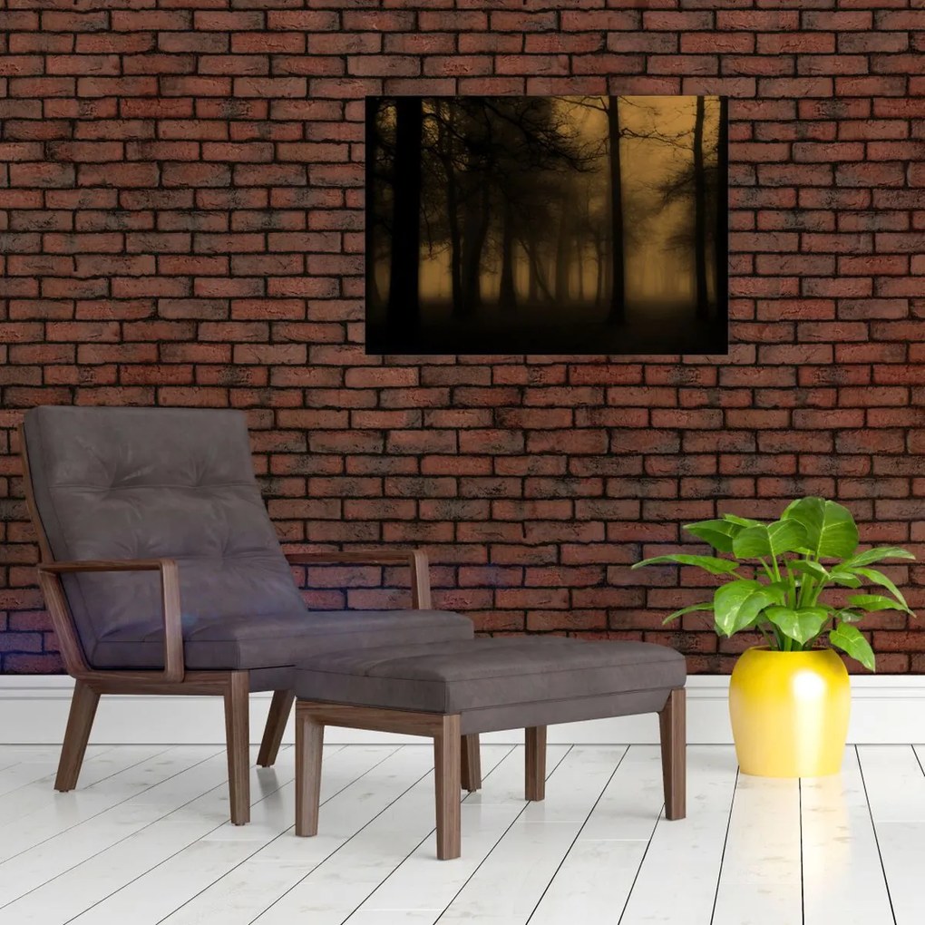 Sklenený obraz - Temný les (70x50 cm)