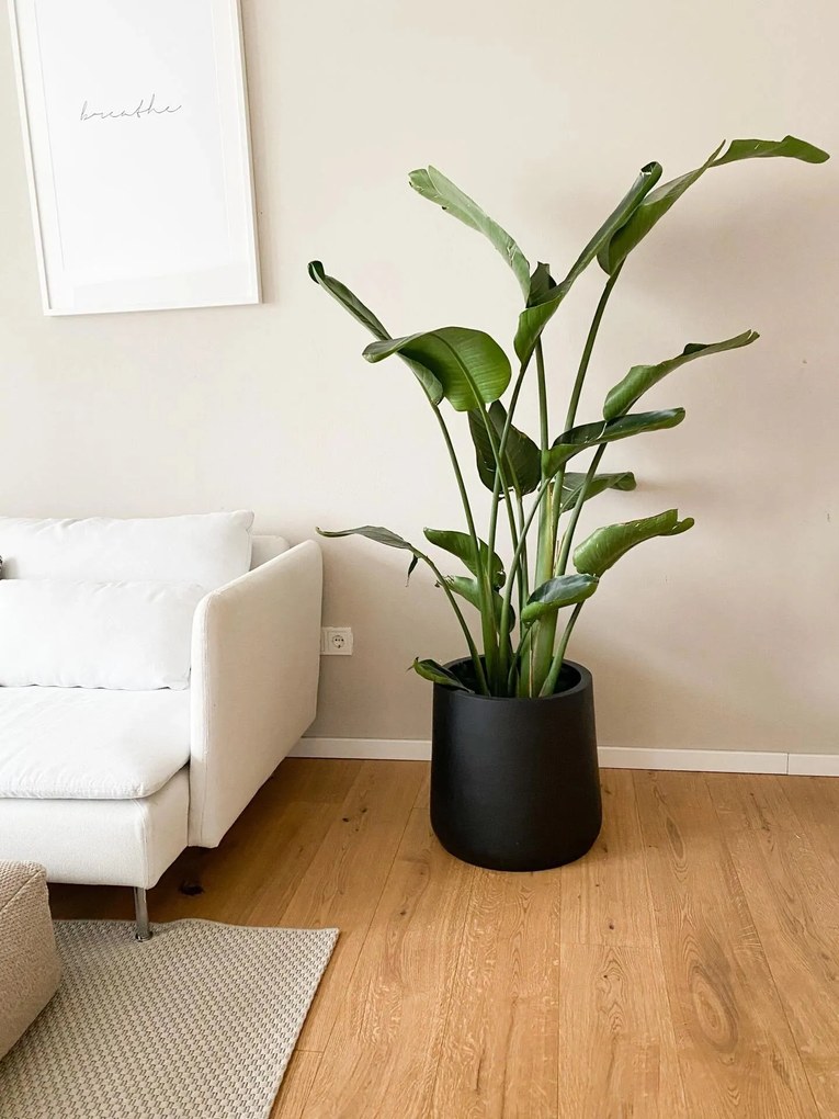 Kvetináč VEKRA, sklolaminát, výška 40 cm, čierna