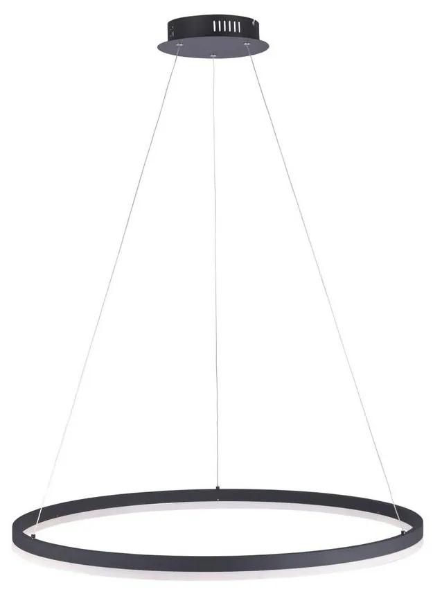 Paul Neuhaus Paul Neuhaus 2383-13 - LED Stmievateľný luster na lanku TITUS LED/50W/230V W1761
