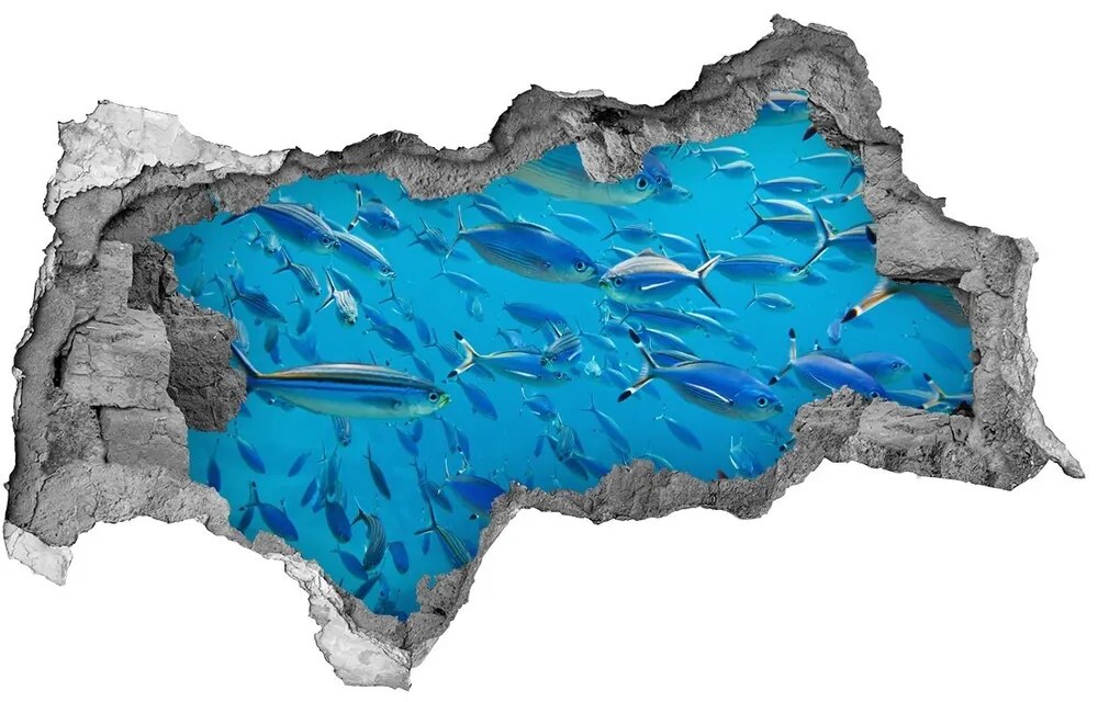 Diera 3D fototapeta nálepka Koralových rýb nd-b-39421860