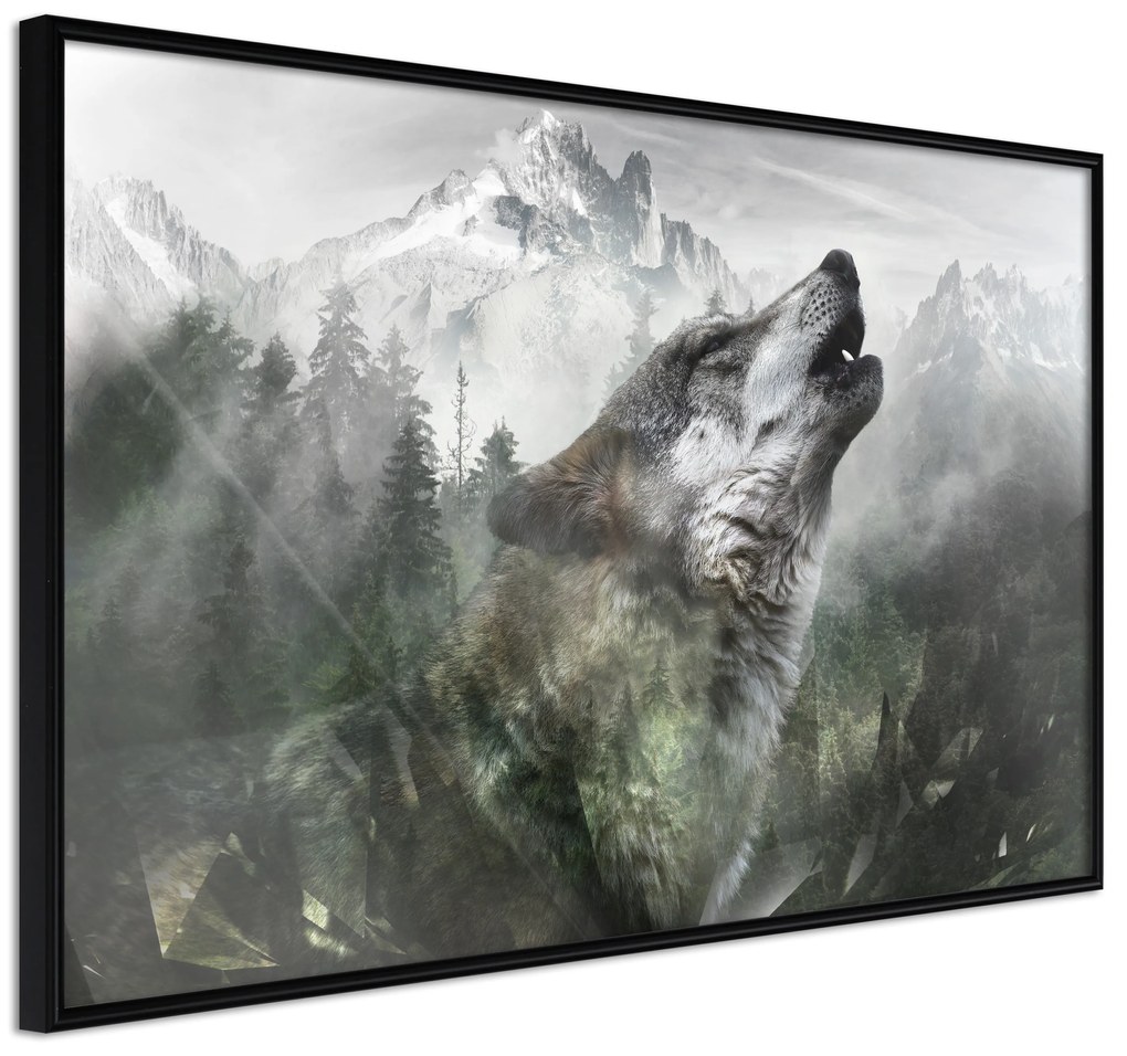 Artgeist Plagát - Howling Wolf [Poster] Veľkosť: 60x40, Verzia: Zlatý rám