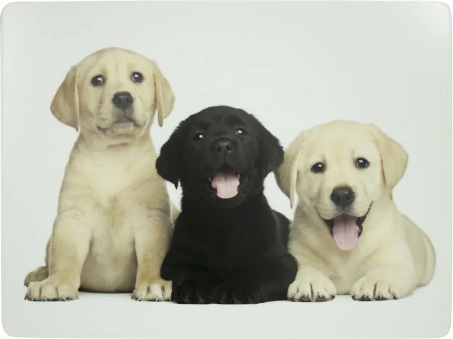 4ks pevné korkové prestieranie štěňatá labradora - 30*40*0,4cm