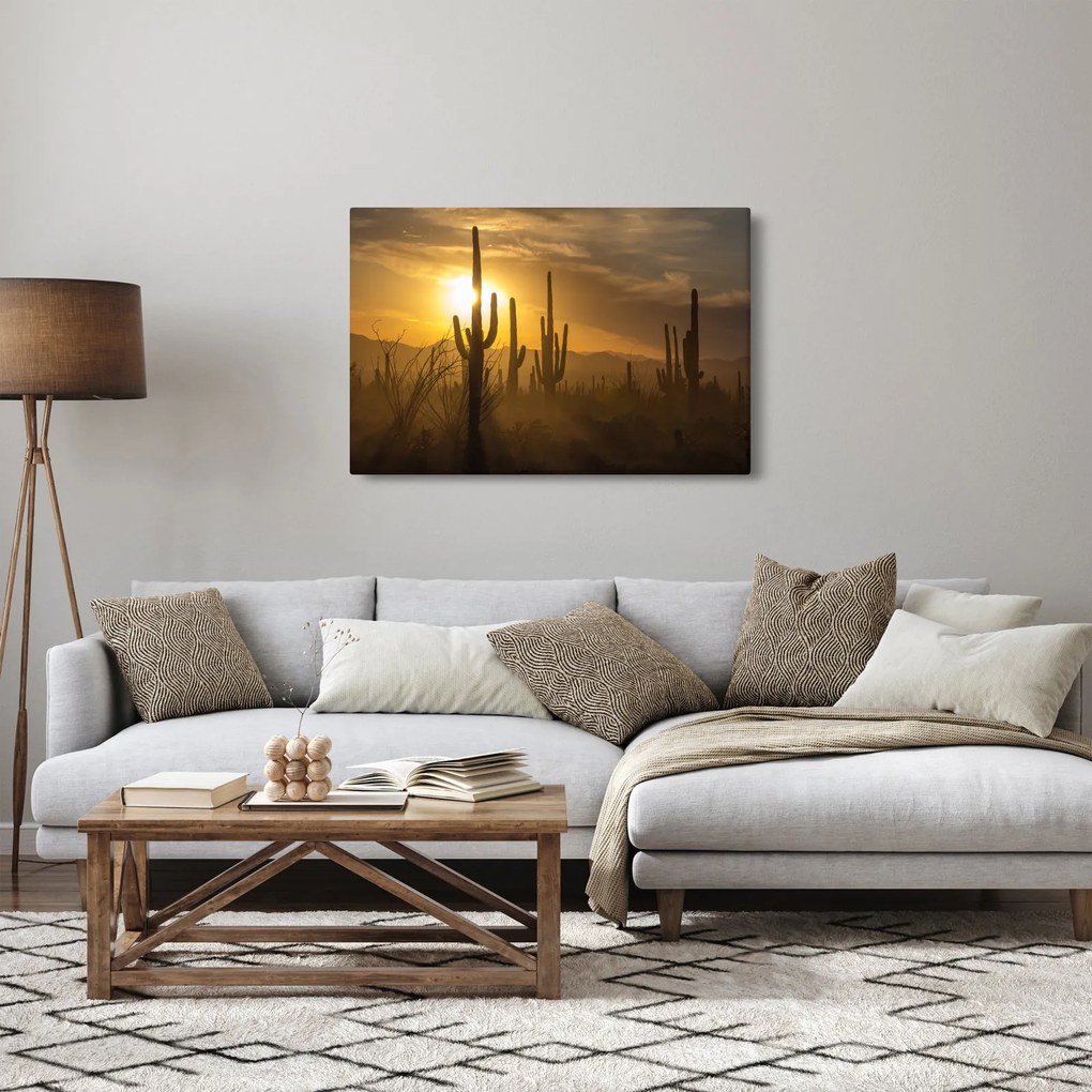Obraz - Kaktusy Saguaro (90x60 cm)