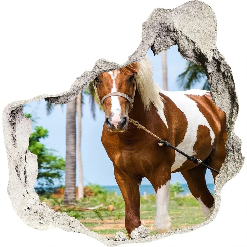 Diera 3D fototapety nálepka Strakatý kôň WallHole-75x75-piask-100317732