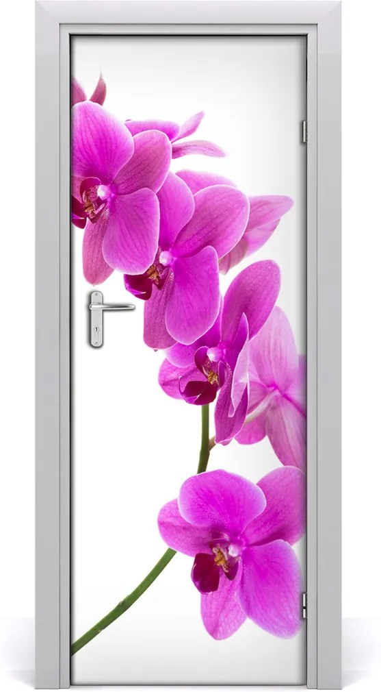 Fototapeta samolepiace  ružová orchidea