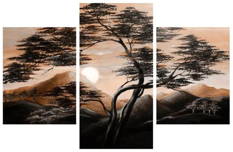 Obraz stromu, hôr a slnka (90x60 cm)