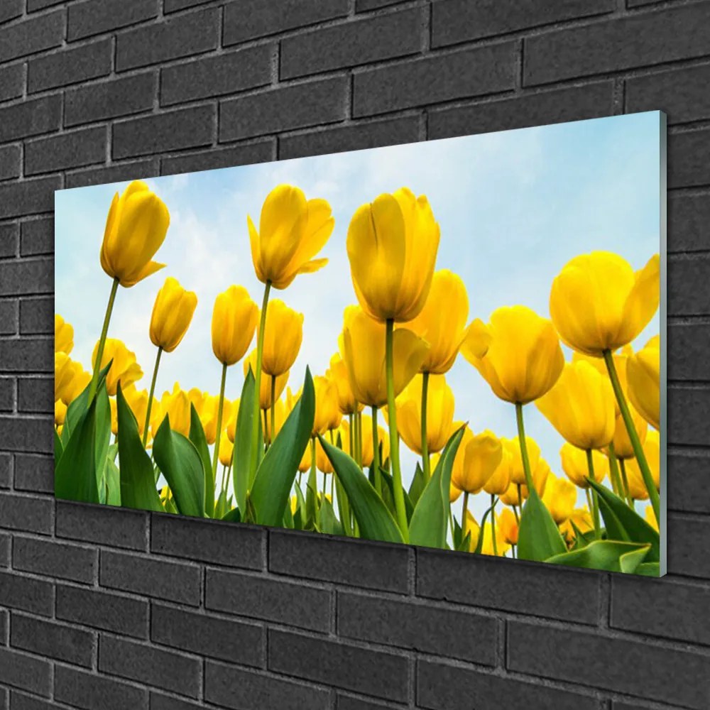 Skleneny obraz Tulipány kvety rastlina 100x50 cm