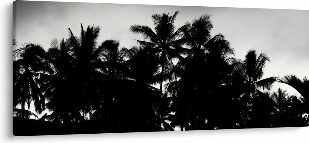 Obraz čiernobiely - palmy (120x50 cm)