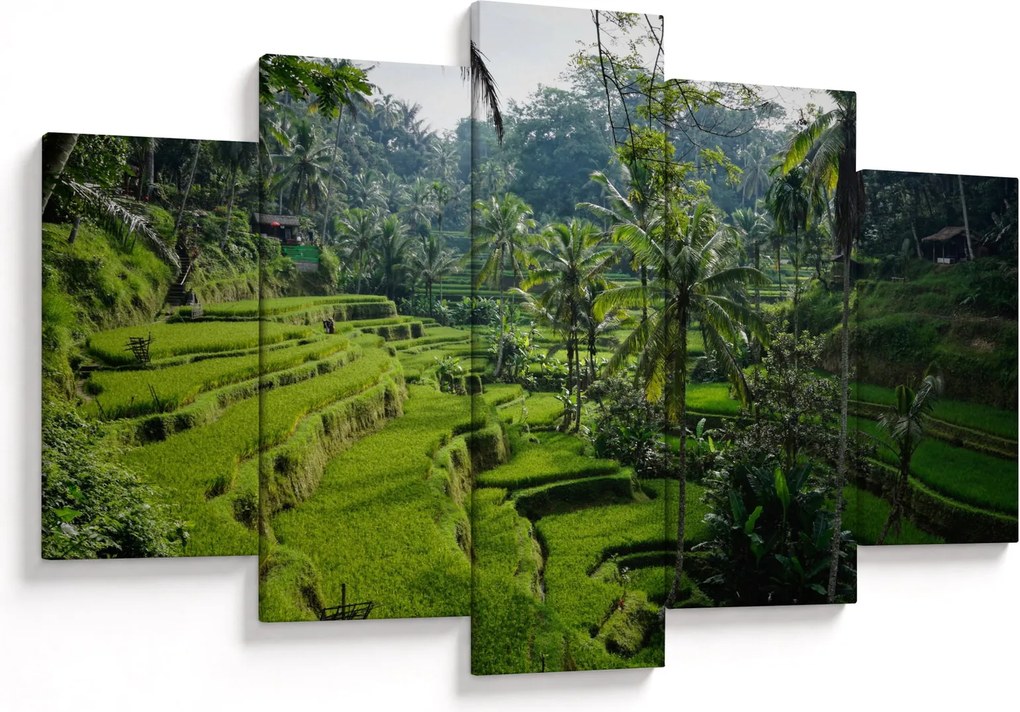 Obraz ryžových terás Tegalalang, Bali (150x105 cm)