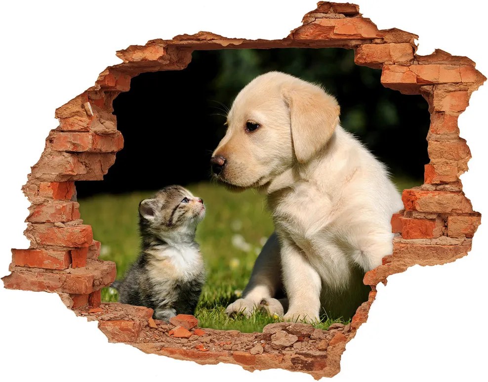 Diera 3D fototapeta nálepka Pes a mačka na lúke WallHole-cegla-90x70-38411802