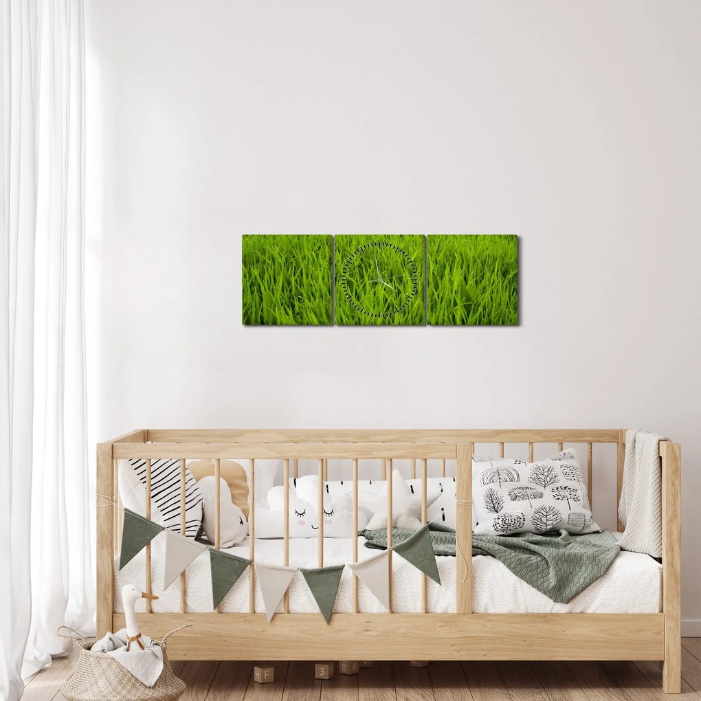 Obraz trávy (s hodinami) (90x30 cm)