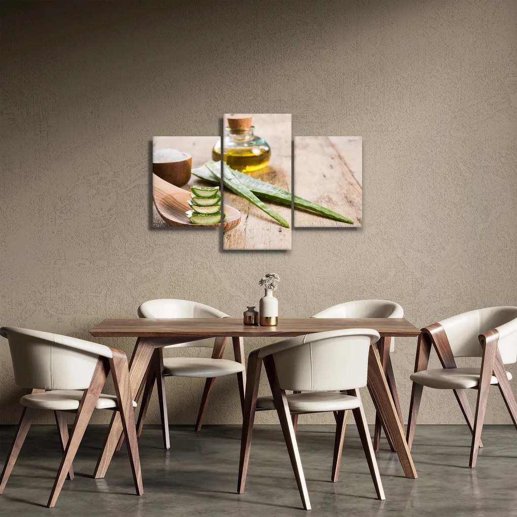 Obraz - Aloe vera (90x60 cm)