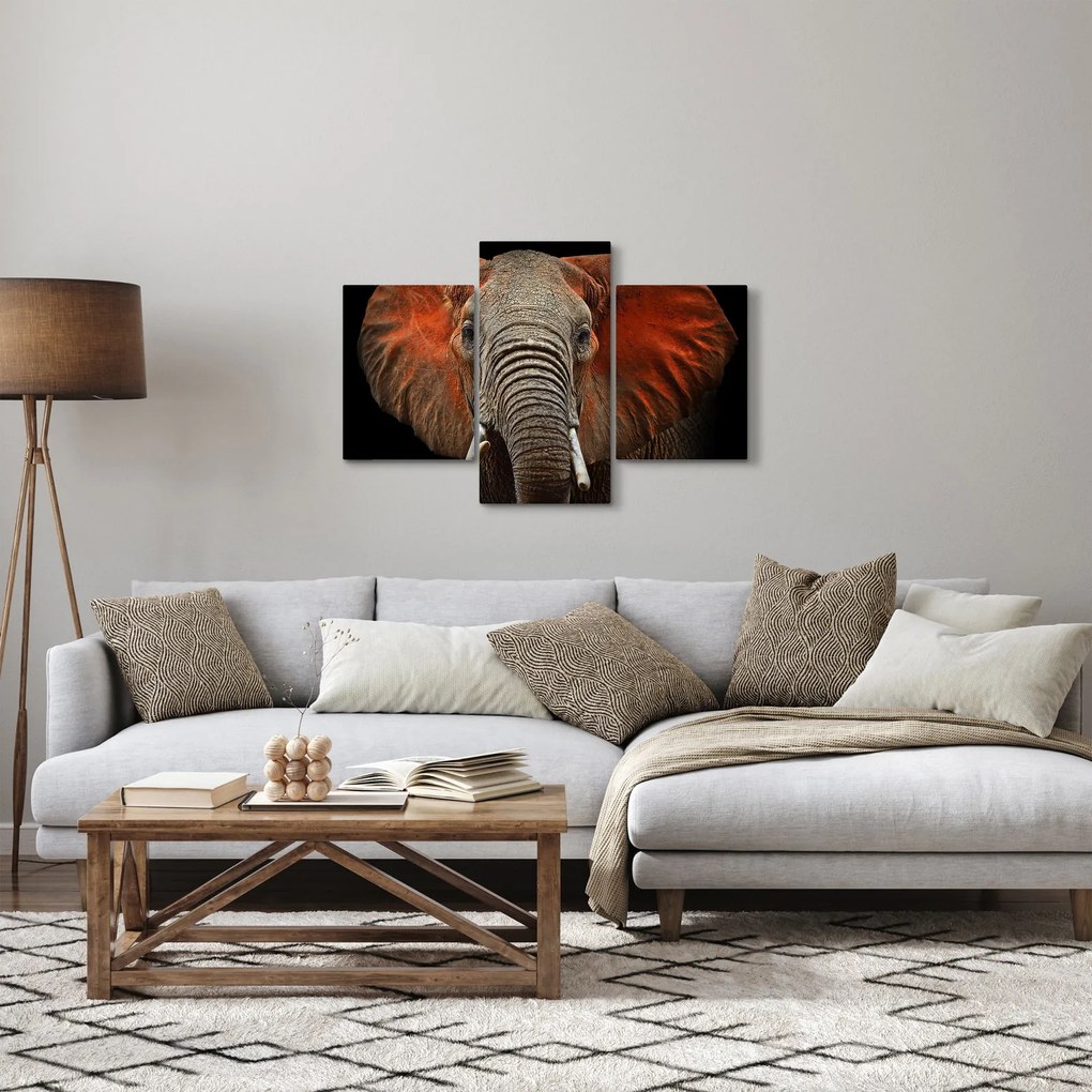 Obraz - Slony z Tsavo (90x60 cm)