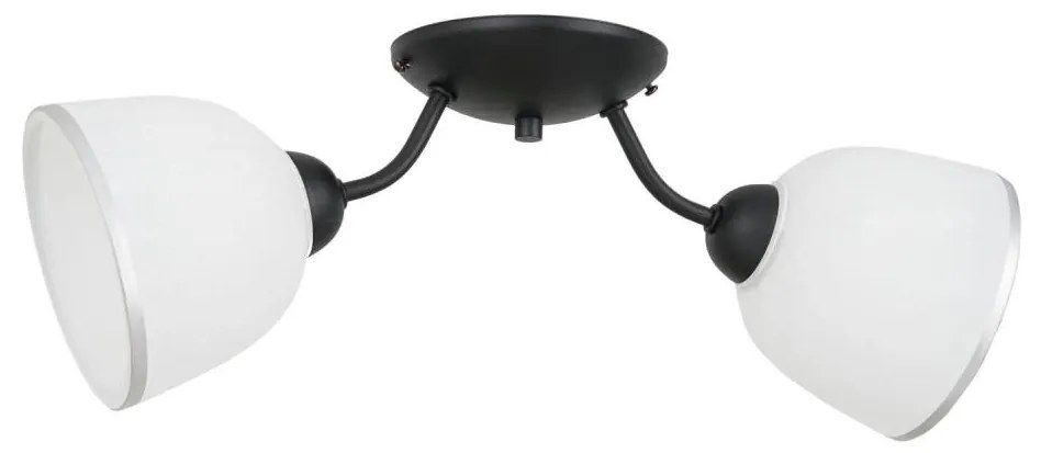 Luminex Stropné svietidlo AVIA 2xE27/60W/230V 176