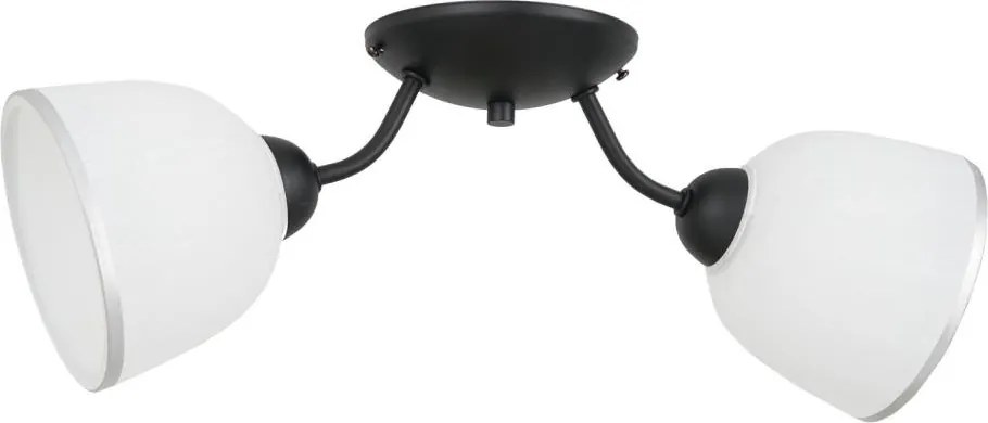 Stropné svietidlo AVIA 2xE27/60W/230V