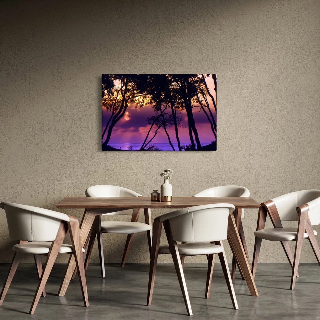 Obraz - Stromy pri západe slnka (90x60 cm)