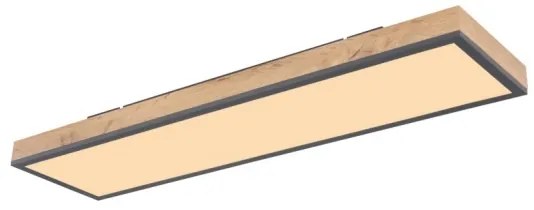 Globo 416080WD4 - LED Stropné svietidlo DORO LED/24W/230V