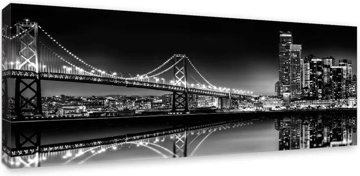 Styler Obraz na plátne - Bridge | Rozmery: 60x150 cm