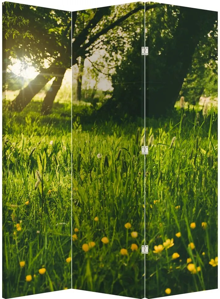 Paraván - Lúka (126x170 cm)