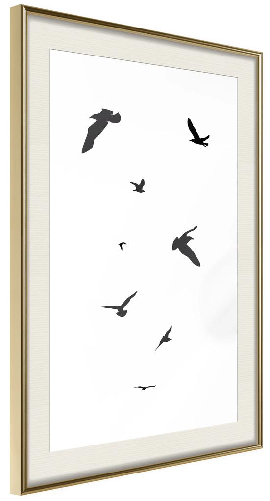 Artgeist Plagát - Evening Flight [Poster] Veľkosť: 20x30, Verzia: Čierny rám s passe-partout