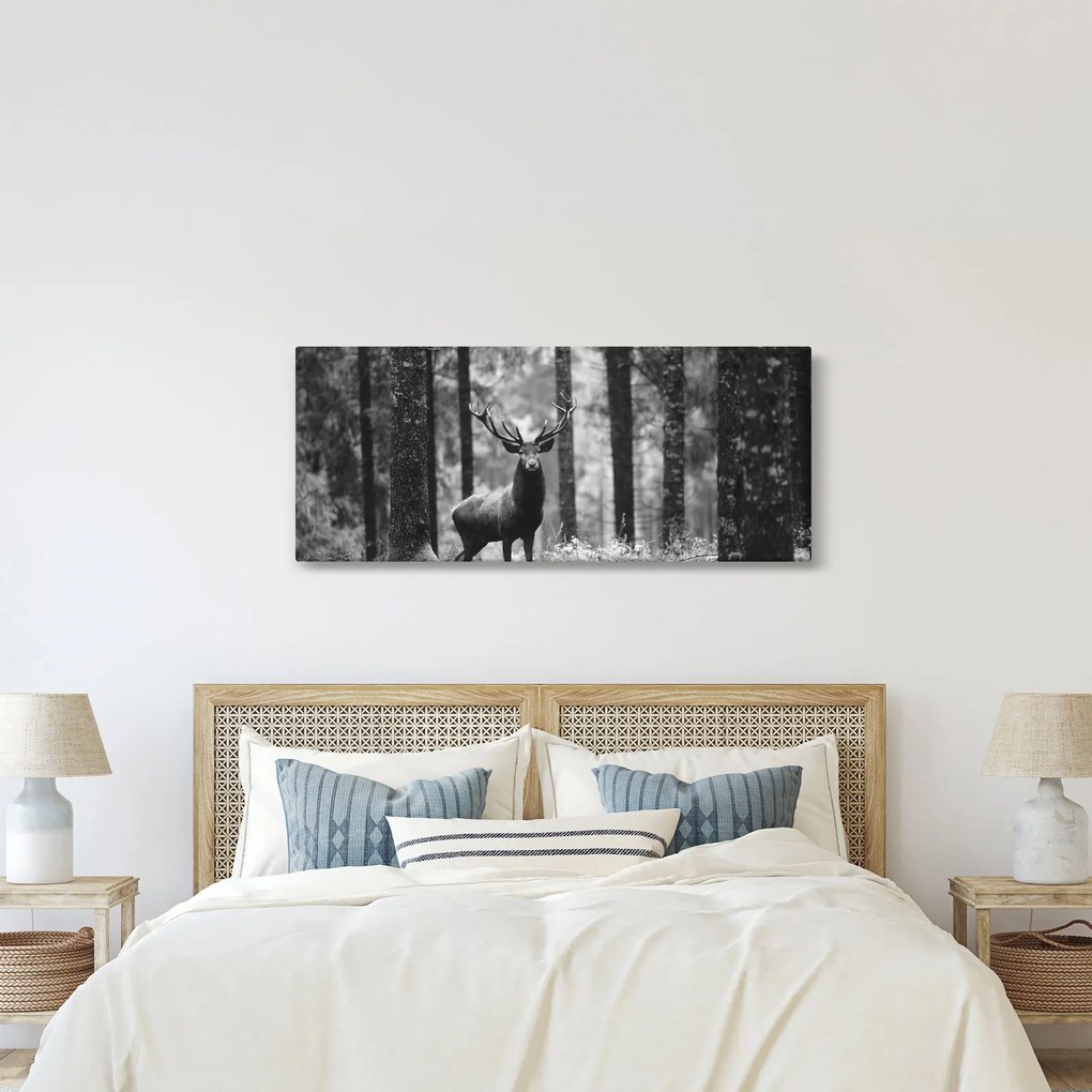 Obraz - Jeleň v lese 2, čiernobiela (120x50 cm)