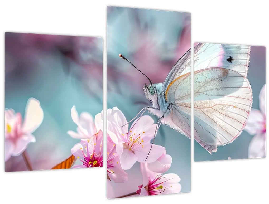Obraz - Motýľ na čerešni (90x60 cm)