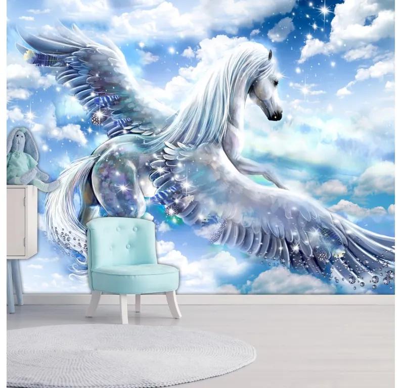 Fototapeta na stenu Pegasus