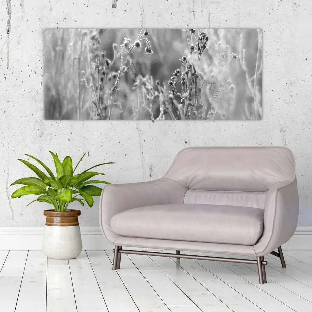 Obraz - Divoká lúka (120x50 cm)