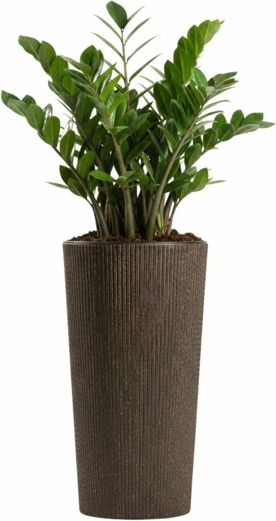 Květináč URBANIKA Coffee 36,4x19,6 cm hnědý