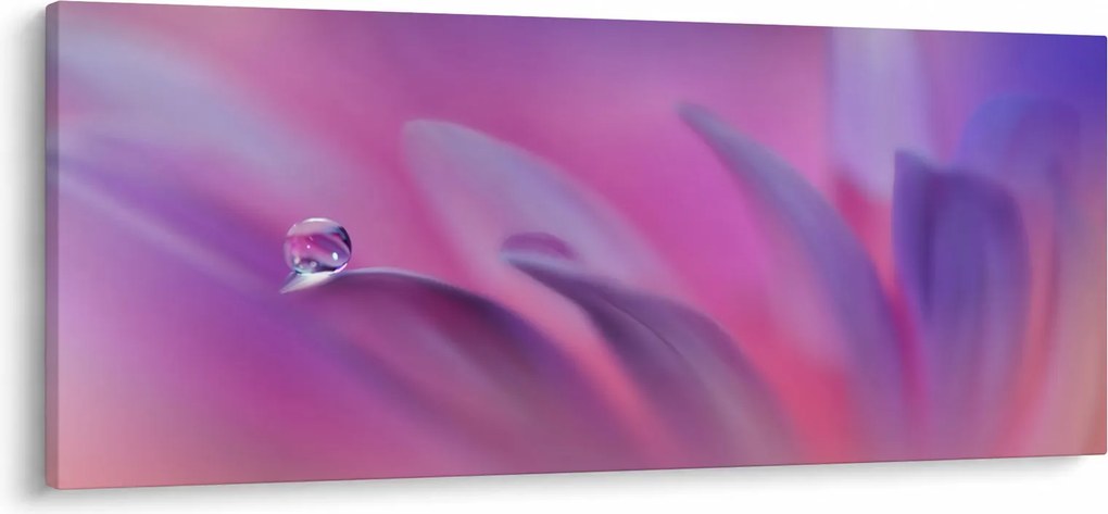 Obraz - Kvapka na kvete (120x50 cm)