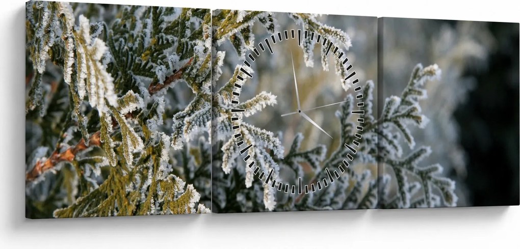 Obraz - Detail vetvy (s hodinami) (90x30 cm)