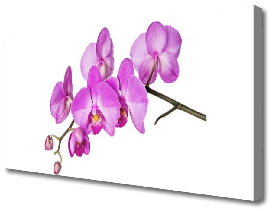 Obraz Canvas Vstavač orchidea kvety 100x50 cm