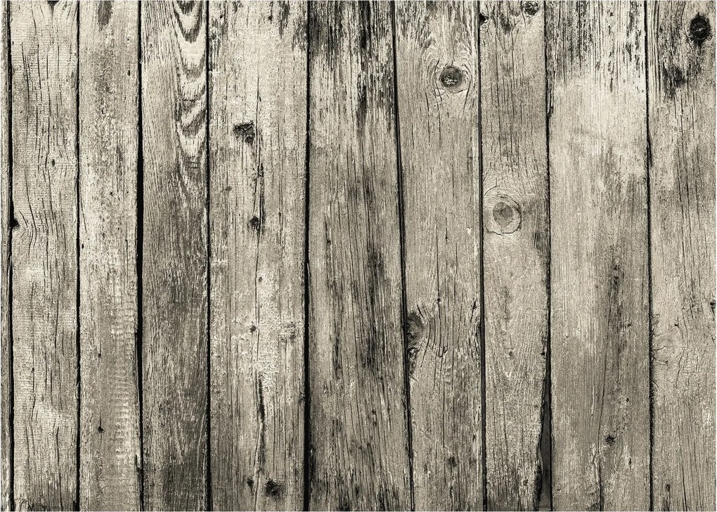 Obraz - Drevo (70x50 cm)