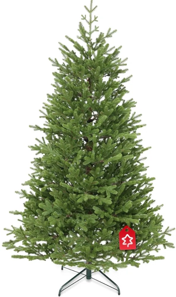 Smrek Natura 100% 210 cm