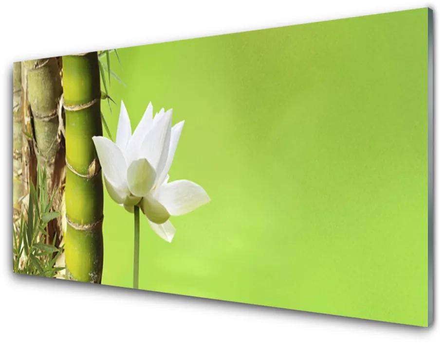Obraz plexi Bambus stonka rastlina príroda 120x60 cm