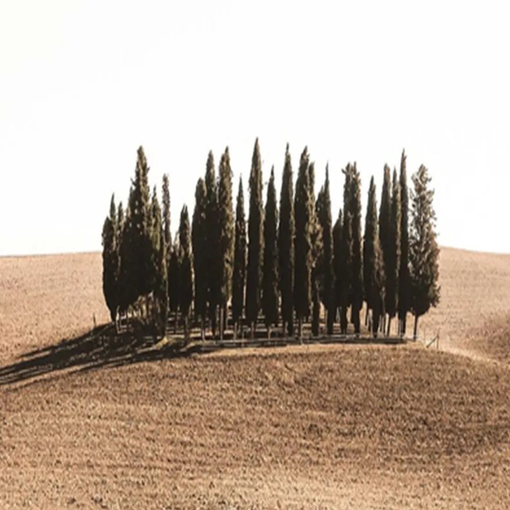 Gario Paraván Toscana Rozmery: 110 x 170 cm, Prevedenie: Otočný paraván 360°