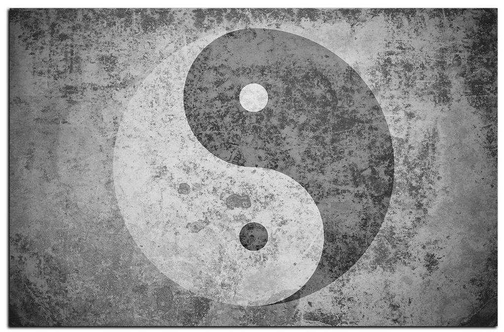 Obraz na plátne - Jin a jang symbol 1170QA (100x70 cm)