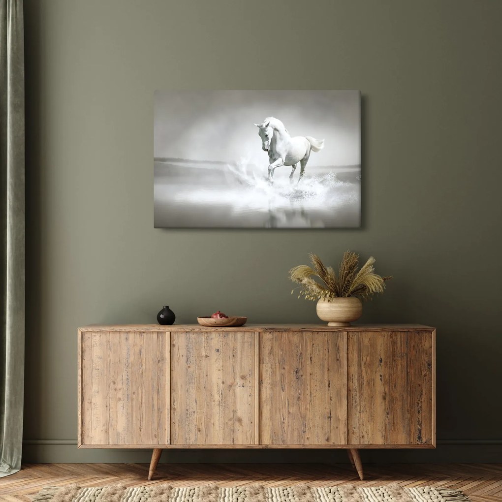 Obraz - Biely kôň (90x60 cm)