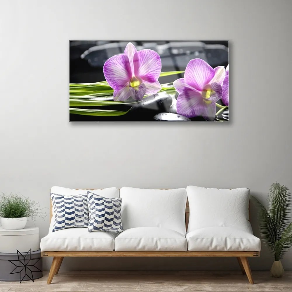 Obraz plexi Orchidea kamene zen kúpele 100x50 cm