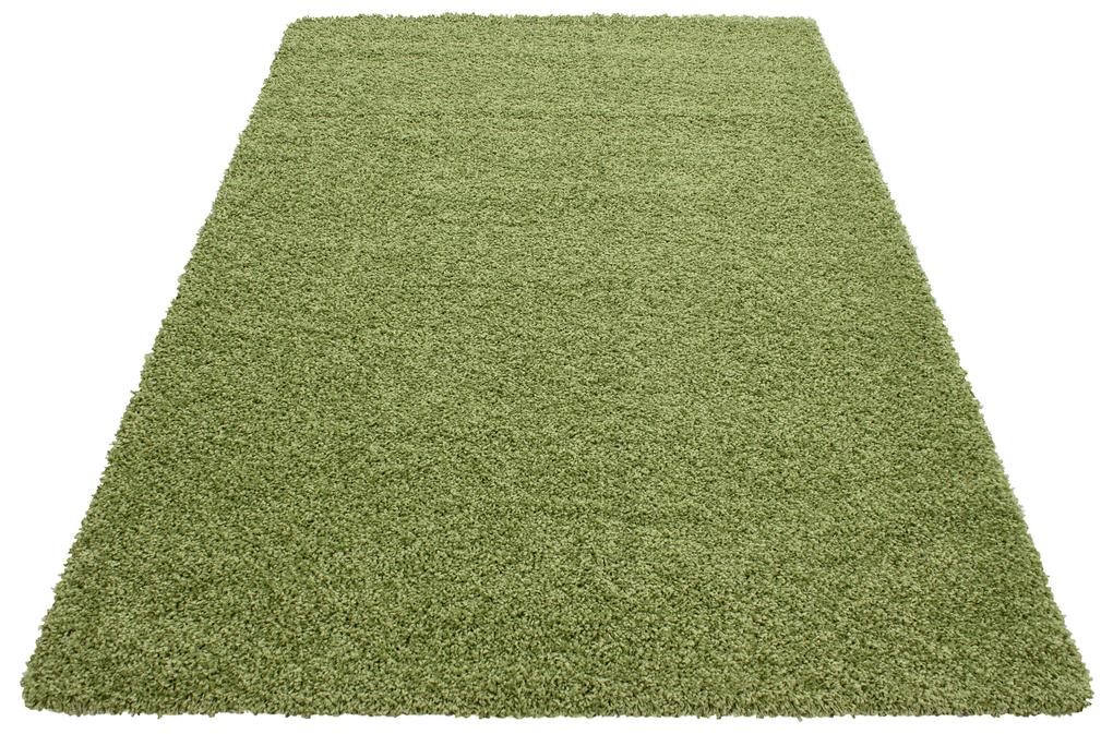 Ayyildiz koberce Kusový koberec Dream Shaggy 4000 green - 65x130 cm