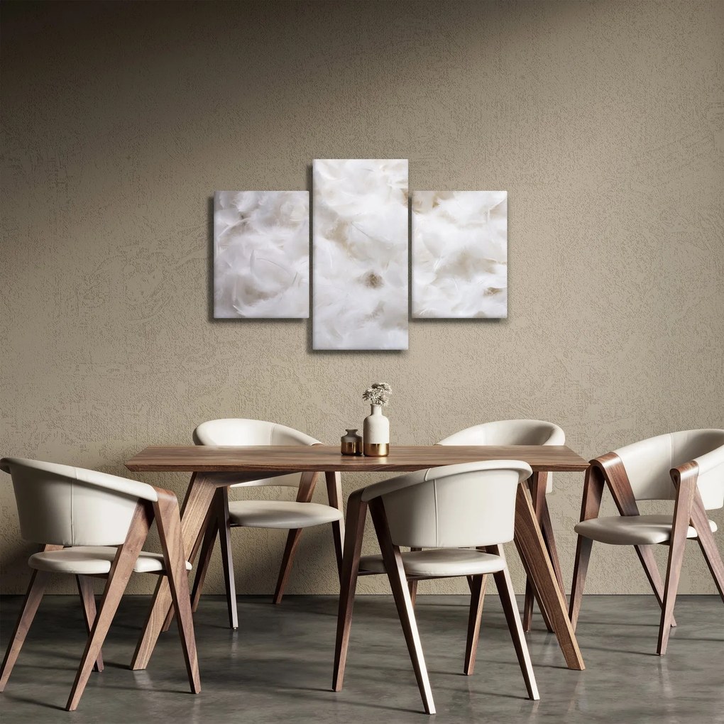 Obraz - Biele perie (90x60 cm)