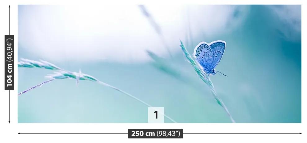 Fototapeta Vliesová Motýlie tráva 152x104 cm