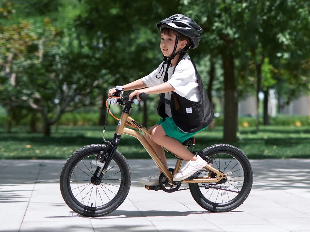 Detský bicykel Gold 18" RoyalBaby RB18-45 - zlatý