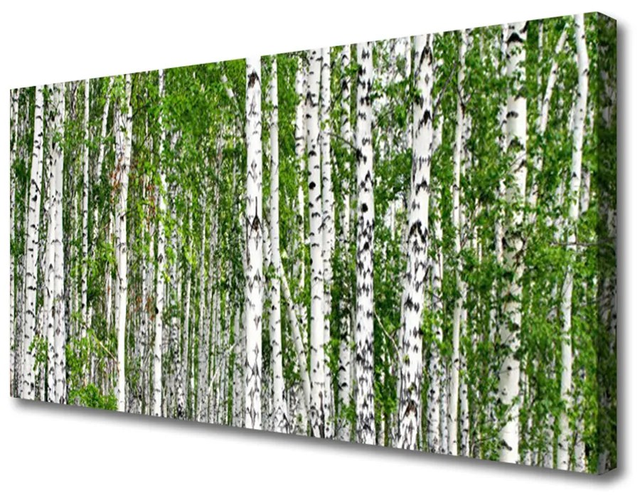 Obraz na plátne Breza les stromy príroda 120x60 cm