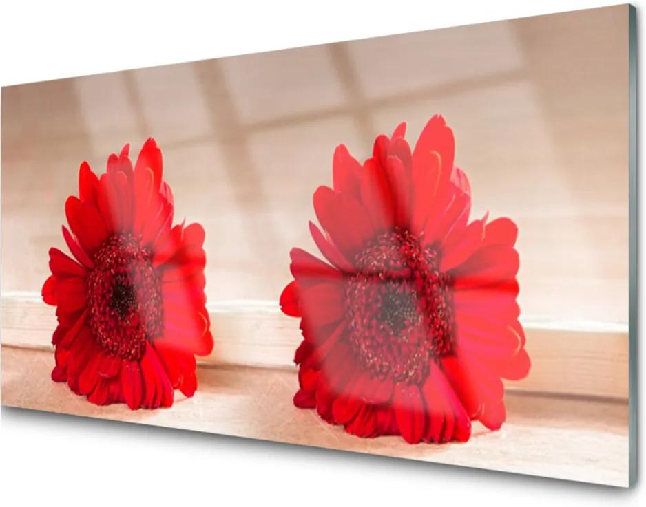 Obraz na akrylátovom skle Sklenený Kvety Rastlina