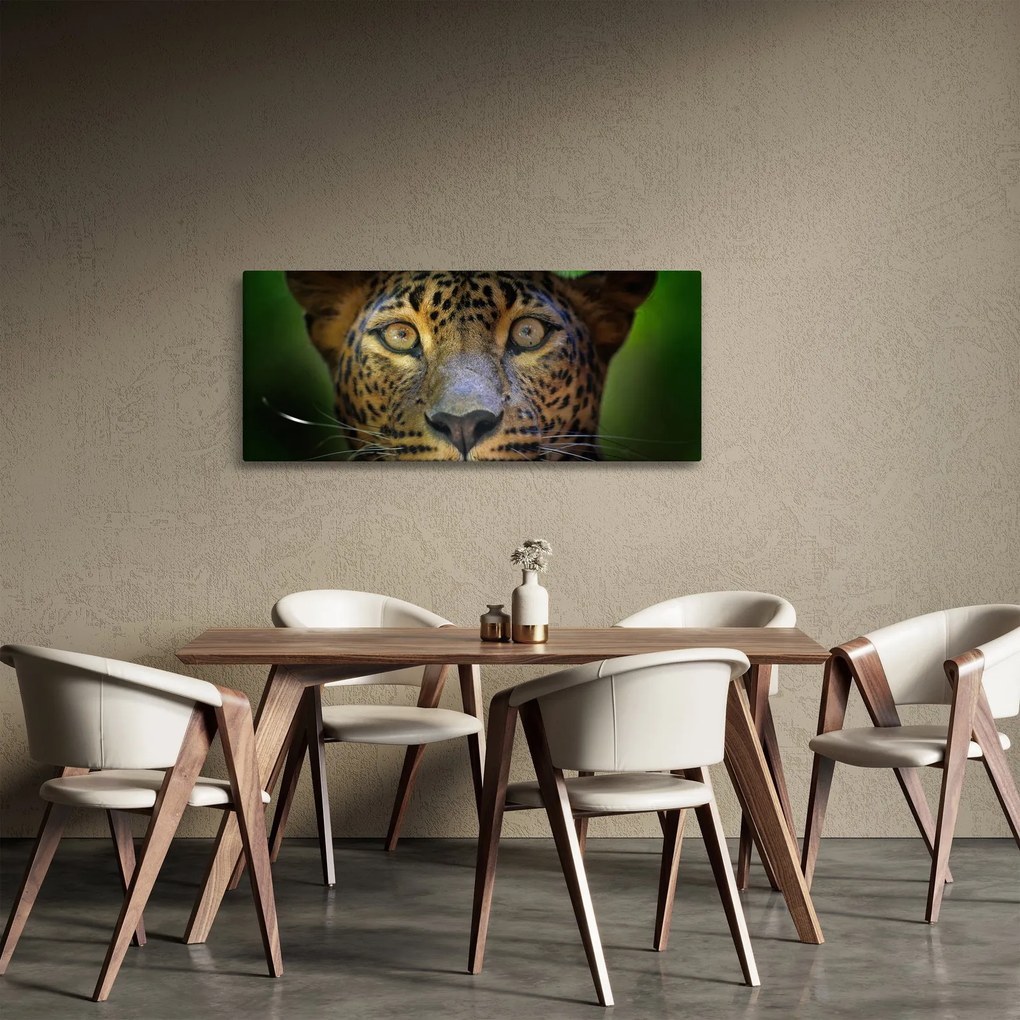 Obraz - Portrét leoparda, Sri Lanka (120x50 cm)