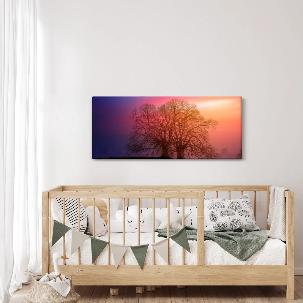 Obraz stromov v hmle (120x50 cm)