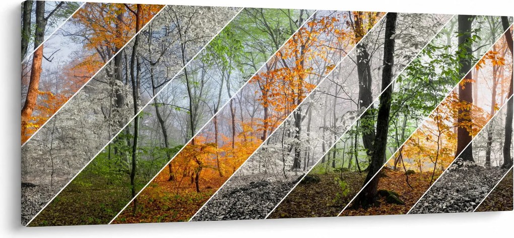 Obraz - Striedanie ročných období (120x50 cm)