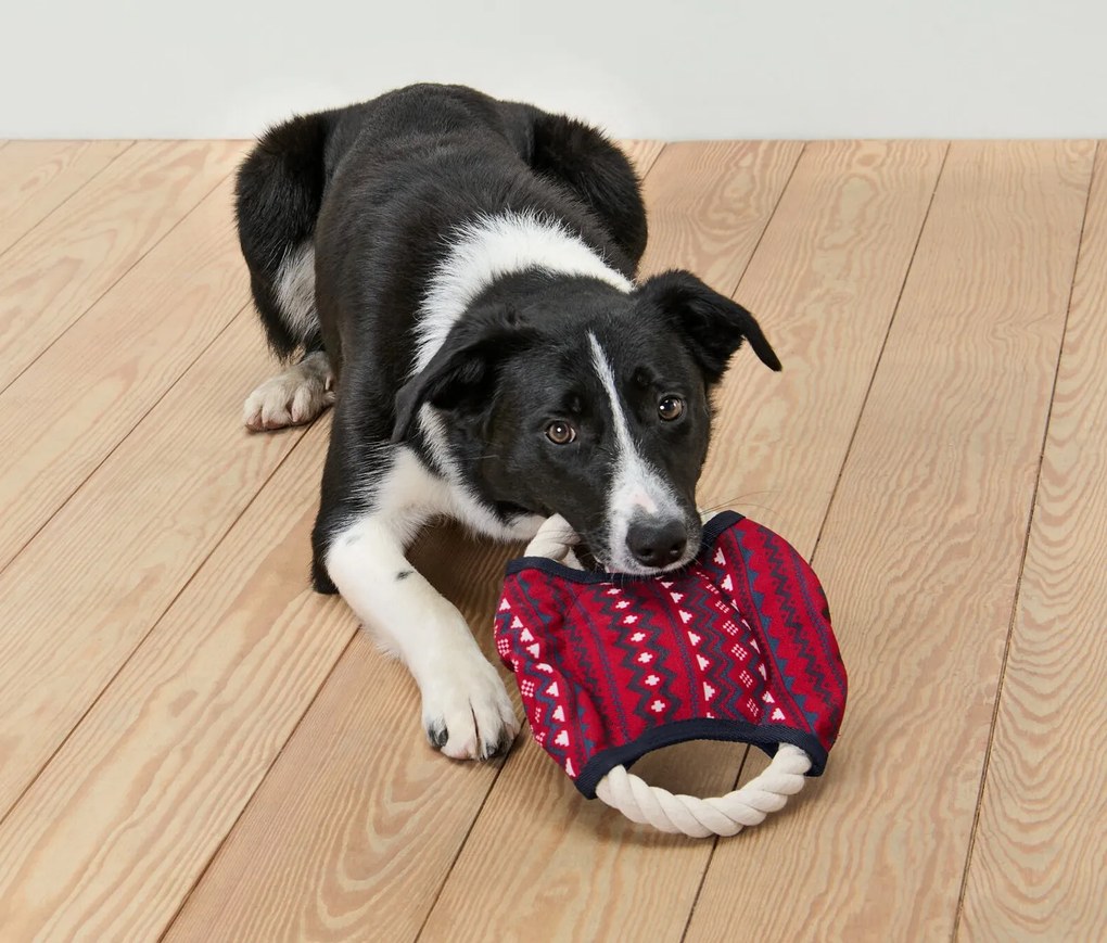 Hracie lano pre psov